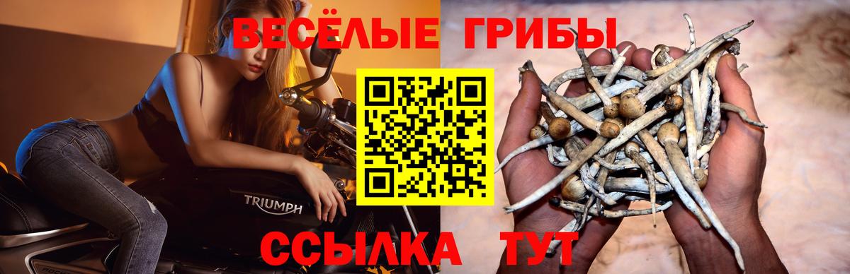 Галлюциногенные грибы GOLDEN TEACHER Жигулёвск